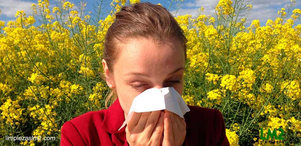 alergias al polvo