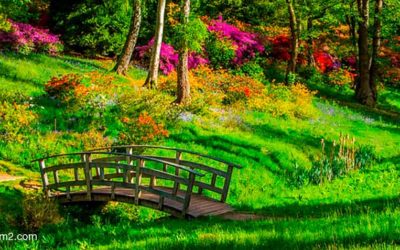¿Cuáles son las mejores empresas de mantenimiento de jardines actualmente?