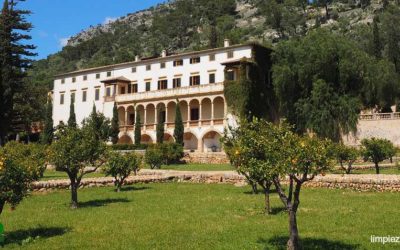 Todo lo que necesitas saber sobre mantenimiento y limpieza de fincas, terrenos y parcelas
