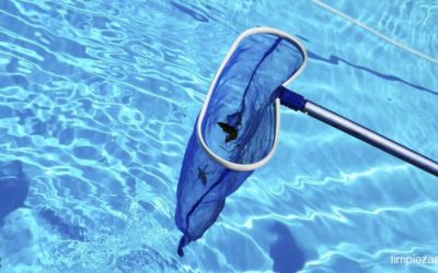 Piscinas comunitarias: desinfección y mantenimiento